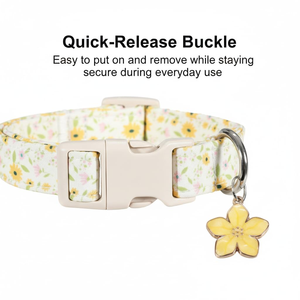 Adjustable All Seasons Dog & Cat <b>Collar</b> with Buckle Closure for Small Pets Pet Supplies OEM/ODM Low MOQ Custom Color - Product Image 5