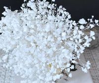 Fleurs de Gypsophile Séchées et Conservées de Haute Qualité, 80g, Prix de Gros, pour la Fête des Mères, la Saint-Valentin, Noël