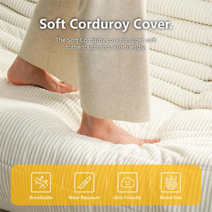 Customized Lazy <b>Sofa</b> Square Convertible Foam Filling For Bedroom Balcony Tatami Living Room - Product Image 3