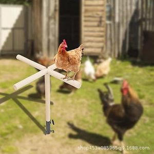 Perchoir en bois pour oiseaux, jouet d'extérieur pour poulets, durable, forme ronde, taille moyenne et grande, bâton de perchoir pour perroquets - Product Image 4