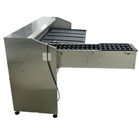 Nueva Clasificadora de Huevos Eléctrica de Acero Inoxidable, Equipo Automático para Clasificar Huevos de Gallina, Modelo 5400, 110V/220V, 1 Año de Garantía
