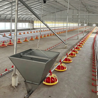 Offre Spéciale : Équipement d'élevage de poulets en cage plate avec ligne d'alimentation automatique pour poulailler commercial, incluant système d'alimentation et d'abreuvement