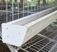 Cage de production d'œufs à 3 niveaux de type 96 pour poulailler