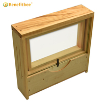 Benefitbee Beobachtungsbienenstock aus Holz, Transparenter Bienenstock für Imkerei