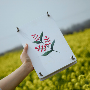PUSELIFE Décoration d'intérieur DIY, fleurs et <span class=keywords><strong>feuilles</strong></span> d'<span class=keywords><strong>eucalyptus</strong></span> séchées pressées à la main pour la résine - Product Image 4