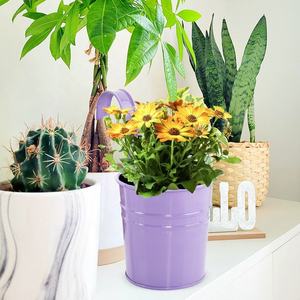 Factory Wholesale Outdoor Garden Home Decor French Bucket <strong>Flower</strong> <strong>Vases</strong> Metal <strong>Flower</strong> Holder Metal <strong>Vases</strong> - Product Image 5