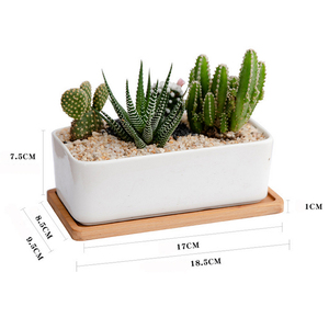 Chậu Trồng Hoa Lớn Màu Trắng Trong Nhà & Sân Vườn Chậu Trồng Cây Mọng Nước Bằng Gốm - Product Image 5