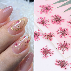 Mixed Natural <b>Dried</b> Flower Nail Stickers Summer <b>Petal</b> Nail Art Decals Colorful Real Flower Decorations for Nail Salon - Product Image 2