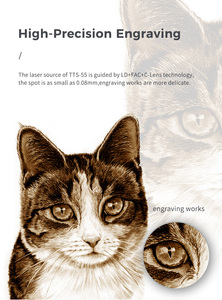 Para Twotrees TTS55 3D pequeña máquina de grabado láser de 40W para cepillo de dientes Mini Auto Z Axis en cuero y madera/MDF compatible con formato AI - Product Image 3