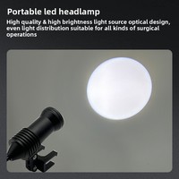Lampe frontale chirurgicale dentaire à 6 LED avec loupe intégrée / Éclairage haute définition