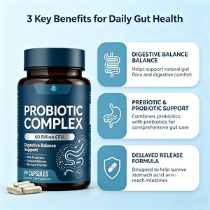 Cápsulas Probióticas Personalizadas al por Mayor OEM de 60 Mil Millones con Prebióticos para Adultos y Adolescentes, Suplemento para la Belleza, Digestión y Vitaminas - Product Image 2