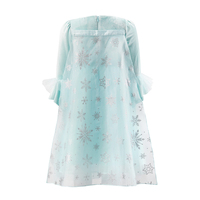 Costume d'été pour enfants, style Reine des Neiges, pour filles, fête d'anniversaire, sous-vêtements, nouveau style hiver, coton à manches longues