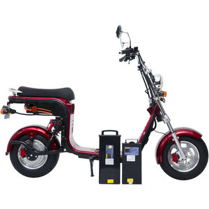 Citycoco Chopper électrique 4000W en stock 2026 pour adultes, scooter moto avec cadre moderne, certifié COC, Citycoco 2000w - Product Image 2