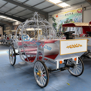 Boda de cuento de hadas en blanco y negro con la novia entrando en una soñadora carruaje de calabaza con temática de <span class=keywords><strong>Cenicienta</strong></span>, <span class=keywords><strong>completa</strong></span> con luces. - Product Image 6