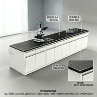 Table de laboratoire en acier robuste avec armoires de rangement, résistante aux produits chimiques, mobilier de laboratoire industriel