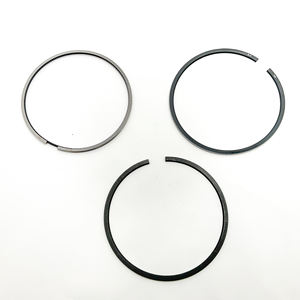 Kit de segments de piston adapté à IVECO 800118110000 - Product Image 1