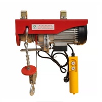 Mini palan électrique à chaîne PA 220V, palan électrique à câble métallique