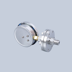 Manómetro hidráulico digital con diafragma roscado antivibración de acero inoxidable - Product Image 3