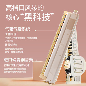 Feifan Melodica 37-Key Professional <b>Instrument</b> With Pickup For Students Adults Performances - Product Image 1