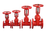 Boîte à Tuyaux d'Incendie, Vanne de Réduction pour Système d'Hydrant, Accessoires en Laiton, Armoire à Enrouleur de Tuyau