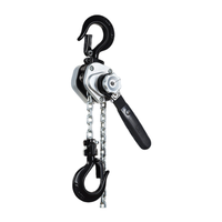 Palans à levier manuels compacts et robustes, capacité 0,25T, chaîne en acier G80, outil de traction portable