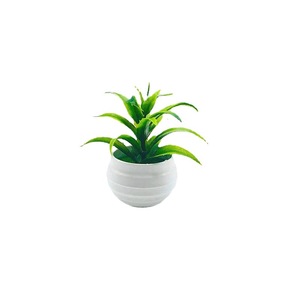 Plantas Artificiales en Maceta, Flores de Plástico de Baby's Breath, Decoración Interior Duradera, Regalo para el Día de San Valentín, Suministro Directo Transfronterizo - Product Image 5