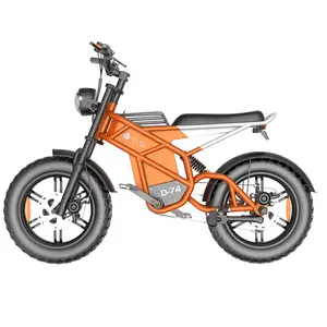 Top Performance 20" Sur Ron 750W/1500W 30Ah/40Ah Electric Fat Tire Mountain Bike Dirt Ebike Full Suspension