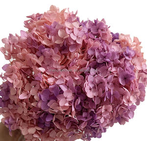 <span class=keywords><strong>Bouquet</strong></span> de <span class=keywords><strong>fleurs</strong></span> murales <span class=keywords><strong>stabilisées</strong></span> en gros, pétales véritables, boîte florale, hortensias stabilisés, Saint-Valentin, Noël - Product Image 4