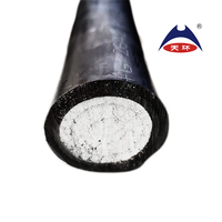 Cable Solar XLPO con funda roja y negra, certificado TUV, 1500V DC/AC, 4mm2, 6mm2, aleación de aluminio para conexión de Panel fotovoltaico XLPO