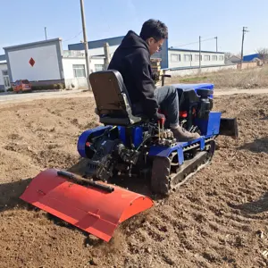 Trattore agricolo della pista del motore Diesel anfibio del trattore del giardino del cingolo compatto 35HP da vendere