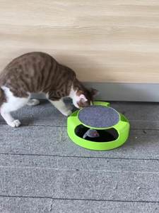 Gioco per Gatti con Carosello Rotante e <span class=keywords><strong>Puzzle</strong></span>, Giocattolo per Gatti con Topo Senza Ombra, Accessori per Animali Domestici - Product Image 4