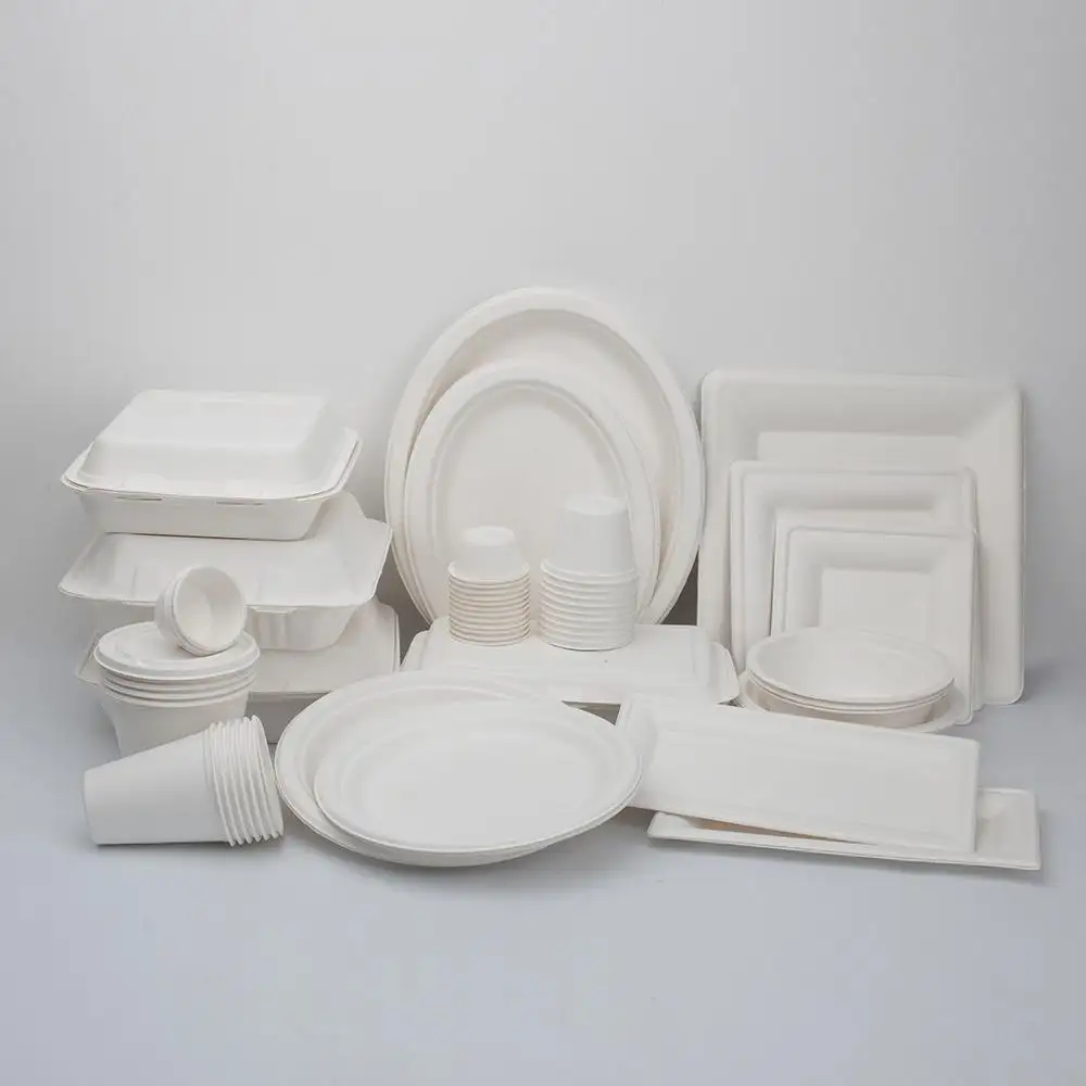 Fully Automatic Biodegradable Pulp Molding Sugarcane Bagasse Disposable Paper Plate Tableware Making Machine