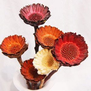 Chrysanthèmes séchés préservés, 10 tiges, pour décoration maison, mariage, Pâques, vente en gros personnalisée, directement de l'usine - Product Image 1