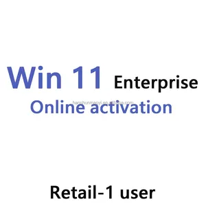 Win 11 kurumsal anahtar perakende 100% çevrimiçi aktivasyon Win 11 kurumsal lisans Win 11 kurumsal Ali sohbet sayfası ile gönder