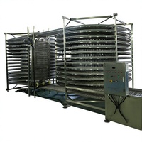 Industriële koelmachines voor snelvriezen, blastvriezers, IQF-tunnels, spiraalvriezers voor diepvriesfruit, -groenten, -vis en -vlees