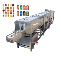 Tunnel boîte de conserve pot verre bouteille lavage séchage cornichon Sauce pot propre Machine aluminium peut pasteurisateur laveuse Machine