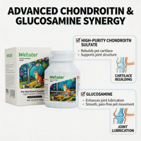 Complément alimentaire pour la santé des articulations, comprimés à absorption rapide sans céréales, riches en calcium, chondroïtine sulfate, glucosamine, soutien immunitaire, vitamines