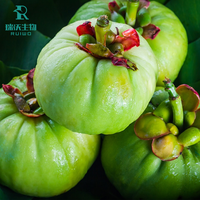 Extrait d'herbes granulaires naturel pur Garcinia Cambogia 60% HCA (Extraction par eau testée par HPLC) pour la perte de poids en emballage en fût
