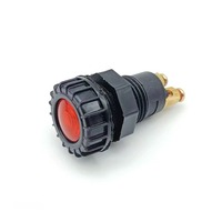 Interruptor de Luz Indicadora para Automóvil de Cobre de Uso General, Clasificación IP67, 25A 230V, Conector Automotriz