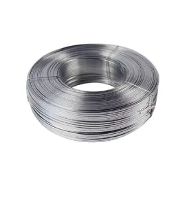 Cold Drawn 201 301 304 316 Stainless Steel Spring Wire Ss Wire/Wire Rod