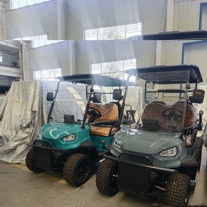 Carrito de Golf Tipo Buggy, Modelo 2024, con 7-8 Asientos, Autonomía de 50-70 km, Baja Velocidad, Certificación GCC/CE/EEC/DOT, Peso Ligero de 200-300 kg, Precio de Fábrica - Product Image 5