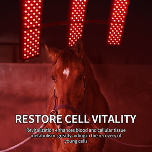 马全身疗法日光浴室稳定马灯，具有红外红色特征和内置温度计 - Product Image 3