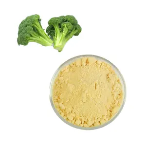 100% poudre de brocoli naturelle meilleure qualité poudre d'extrait de graines de brocoli biologique