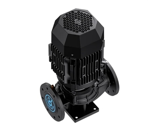 Pompe à eau MINAMOTO GD65-10-16-19-22-25-29-30-35-40-50-60-125 - Product Image 3