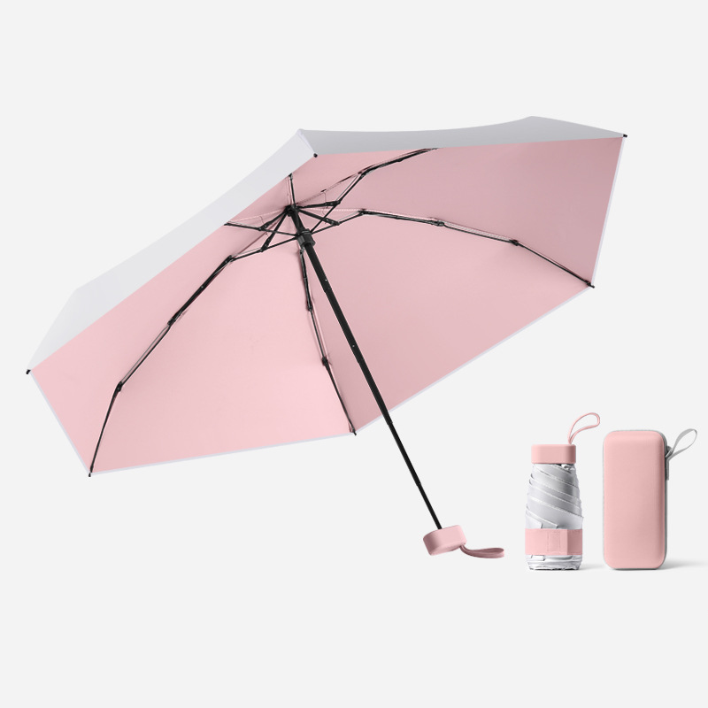 Fleur de cerisier rose avec boîte