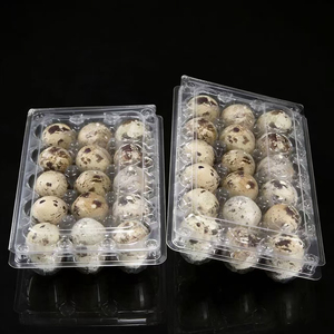 Blister 30 trous bon marché, vente en gros de plateaux d'oeufs de <span class=keywords><strong>caille</strong></span> - Product Image 3