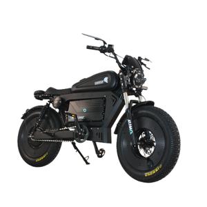 Chúng Tôi Kho Động Cơ Kép Hợp Kim Nhôm 3000W Xe Đạp Điện Bãi Biển Cruiser 20*5.0 Chất Béo Lốp Đầy Đủ Hệ Thống Treo Ebike Với Giỏ - Product Image 1