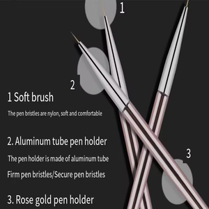 Brosses de manucure professionnelles poignée en métal stylo de <span class=keywords><strong>dessin</strong></span> d'<span class=keywords><strong>ongle</strong></span> Nail Art striping Liner brosses pour ongles - Product Image 2