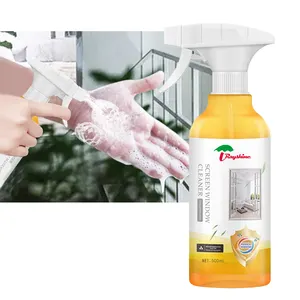 Rayshine Détergent de nettoyage ménager pour écran de fenêtre Net AC Cleaner Dirt Removal 500 ml
