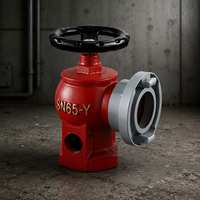 Raccord rapide SN65 DN65 2,5 pouces en fonte avec volant rotatif pour robinet d'incendie pour la lutte contre les incendies